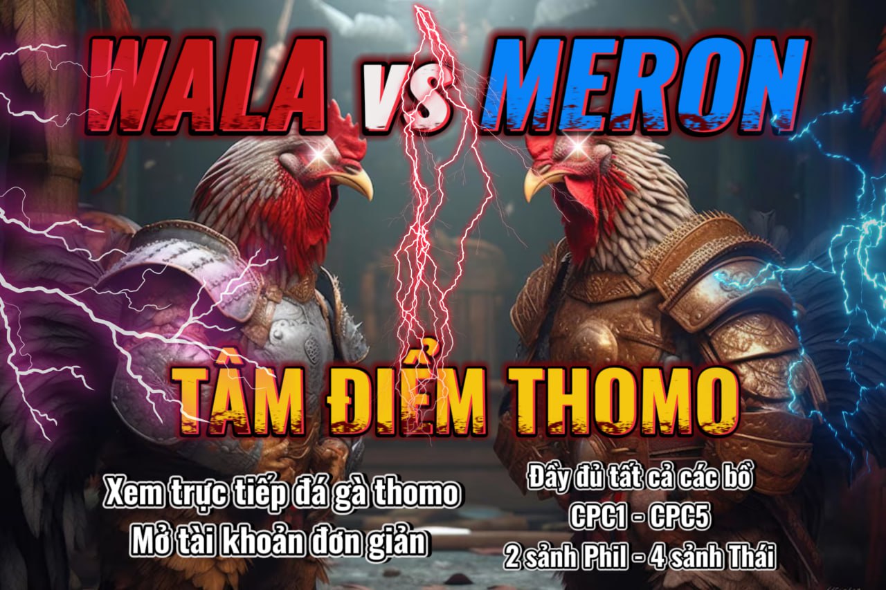 GIỚI THIỆU VỀ KÊNH ĐÁ GÀ TRỰC TUYẾN E2BET